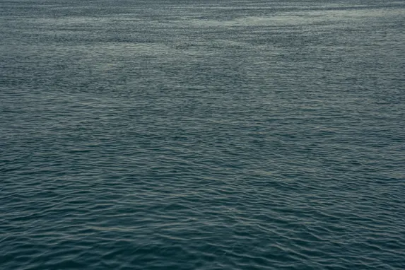 Casino Jackpot Molly Tugi